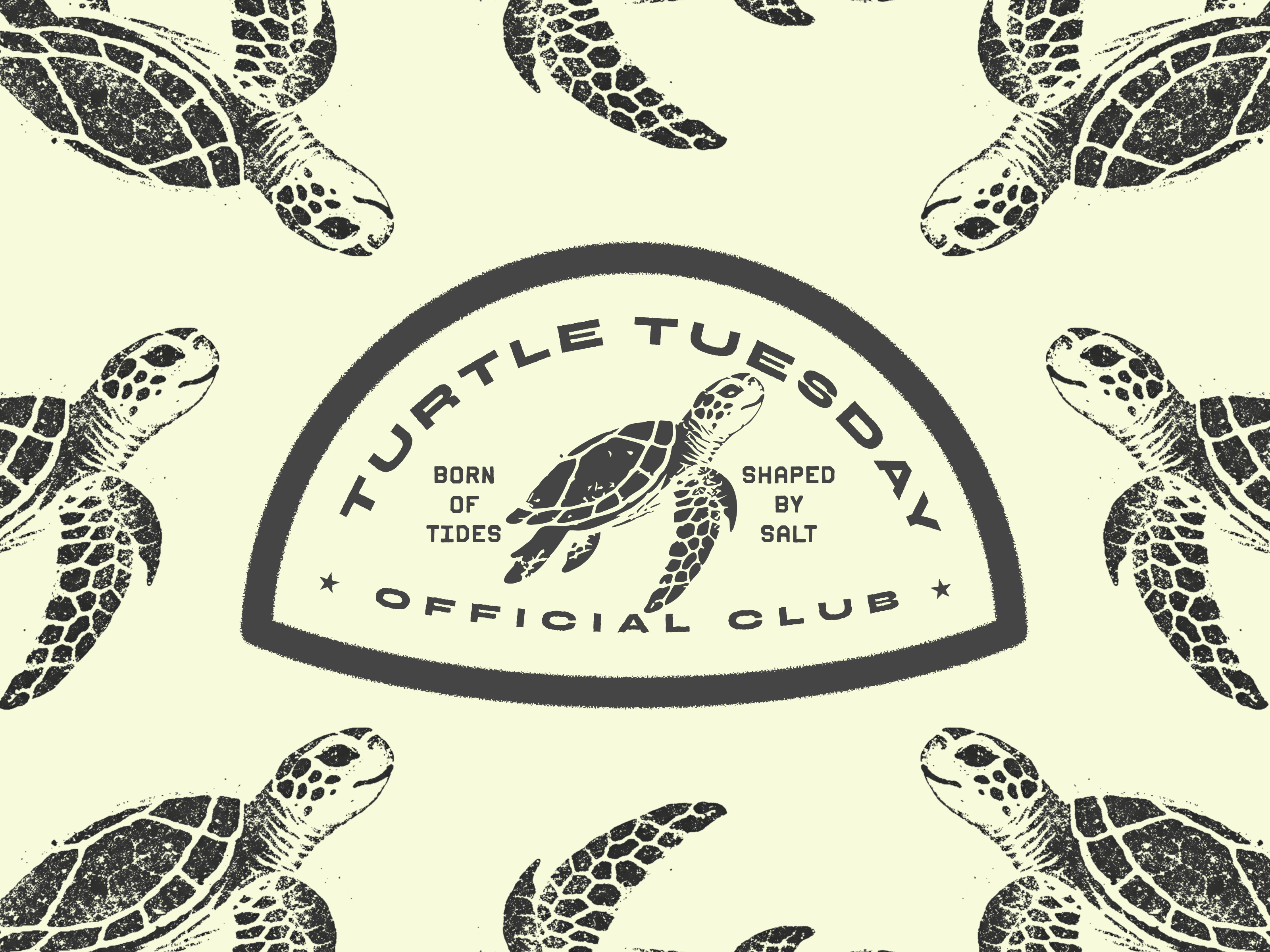 TT-02 Hawksbill Sea Turtle: "Slow & Steady", a Turtle Tuesday Club illustration by Lee Eisenbarth
