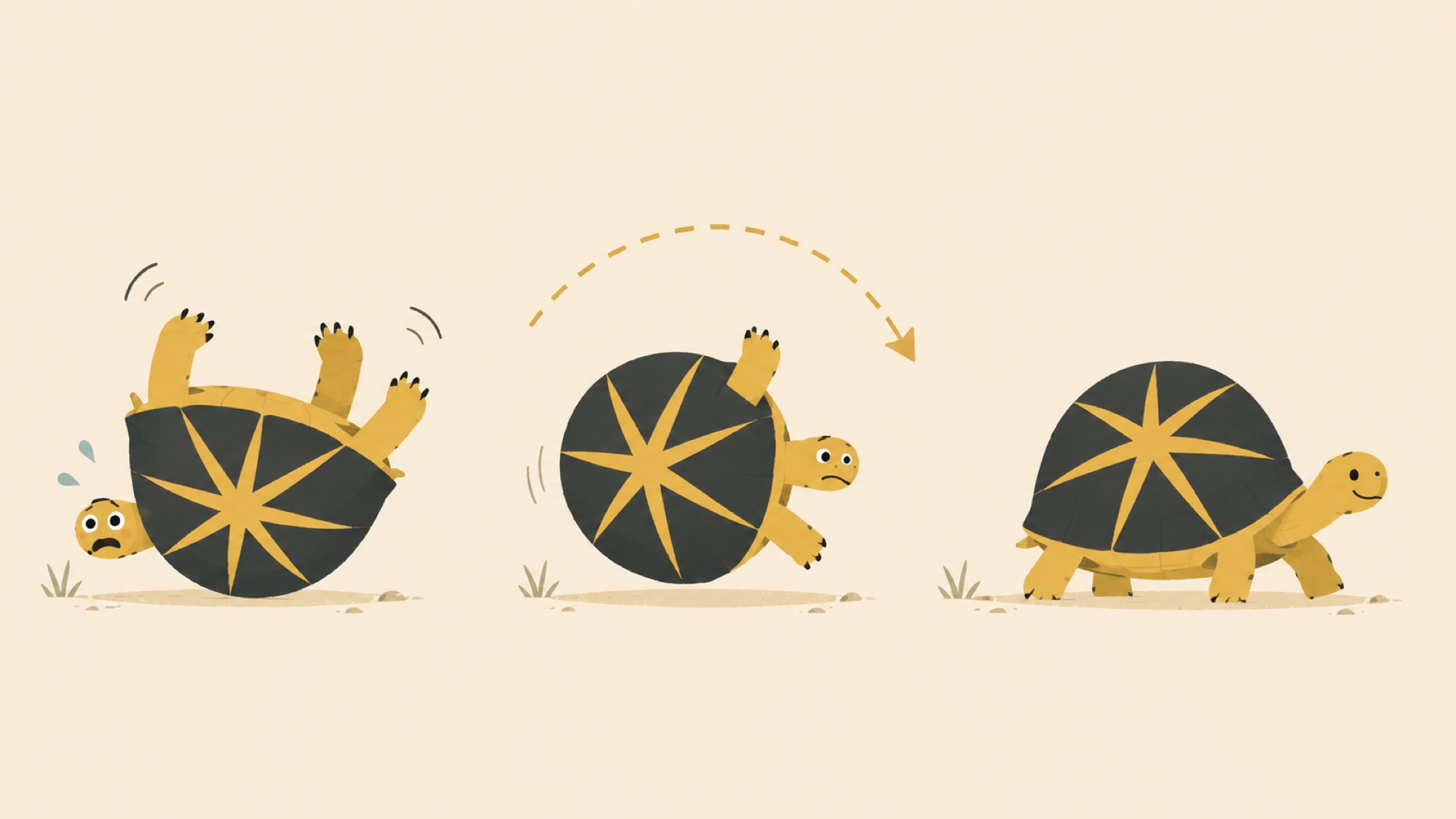 TT-22 Indian Star Tortoise: "Right Side Up", a Turtle Tuesday Club illustration by Lee Eisenbarth